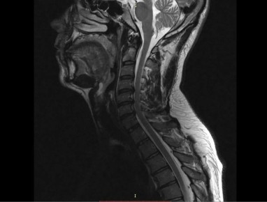 ���������� �������� ������� ��������� ����������� �������� ������� ������