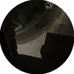 Не оскудела земля воронежская талантами