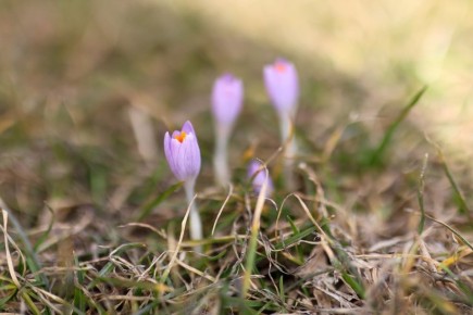 � ������ ����� ����� ������ ������������ �������