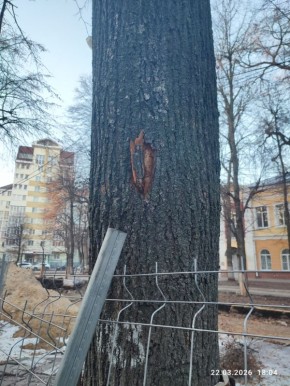 � ��� ��� ������ ����� ������� �������