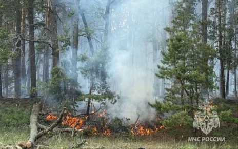 В Воронежской области с 1 апреля официально открывается пожароопасный сезон