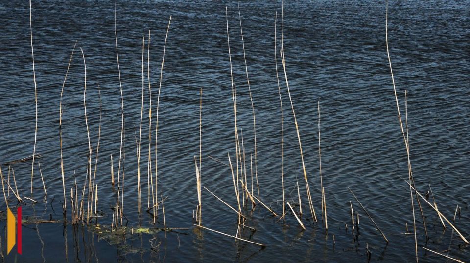 � ��������� ������ ���������� ���� ���������� �������