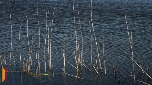 В Таловском районе обнаружили труп сотрудника полиции