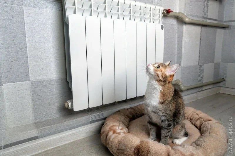 ������������� ����� � �������� ������� �� 1 ��� ���� ��������� ��������