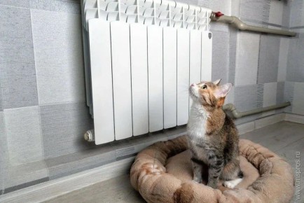 ������������� ����� � �������� ������� �� 1 ��� ���� ��������� ��������