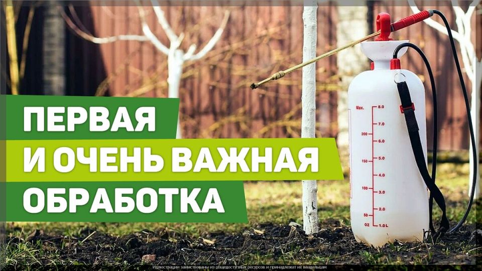 �������� ���� �� �����: ����������� ������ � ������ ��� ���������� ���������