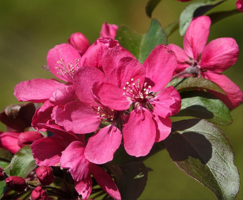 ������ �����������: ������� ��������� ������ ����