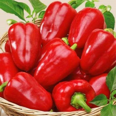 ����� ������� ����: ������� ��������� ����������� � ����������