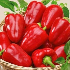 ����� ������� ����: ������� ��������� ����������� � ����������