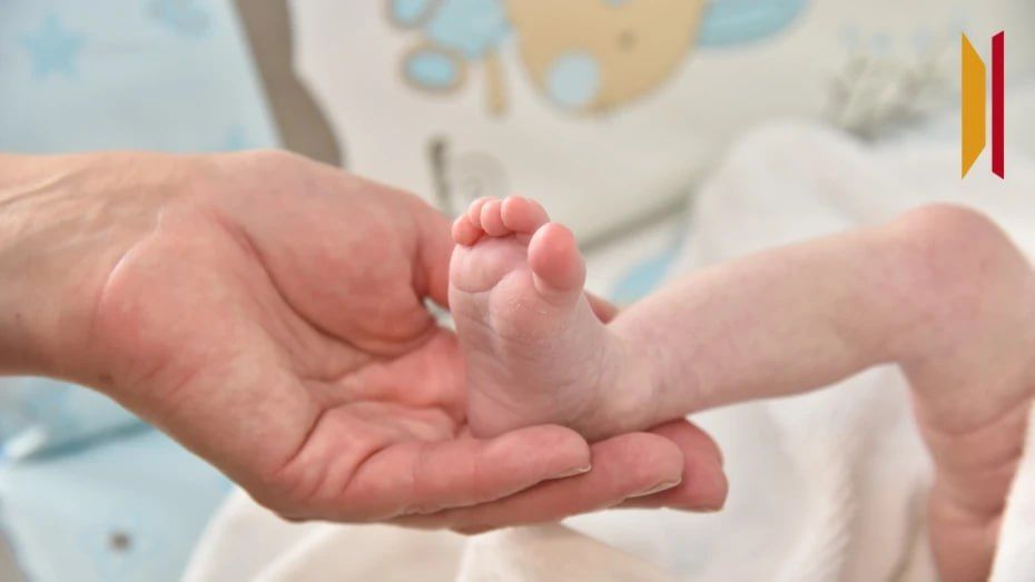 ����-����, ������ � ����: ��� ��������� �������� ����� � 2026 ����