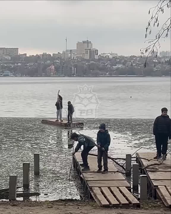 В парке «Дельфин» подростки сделали плот и отправились в плавание
