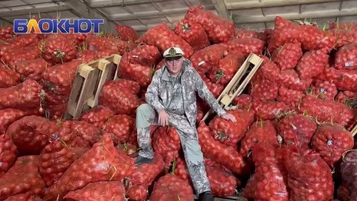 �������� ���������� �� ����: ��� ���� �� �������, ���� ������ �������� ��� � ����������