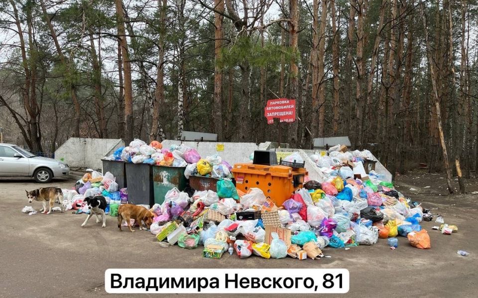 Читатели «Блокнота» в стороне не остались