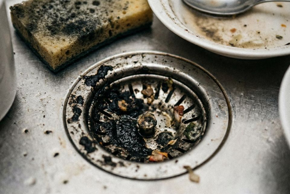 �����, ������� ������ ������ ����: ��� ���������� ��������� ������