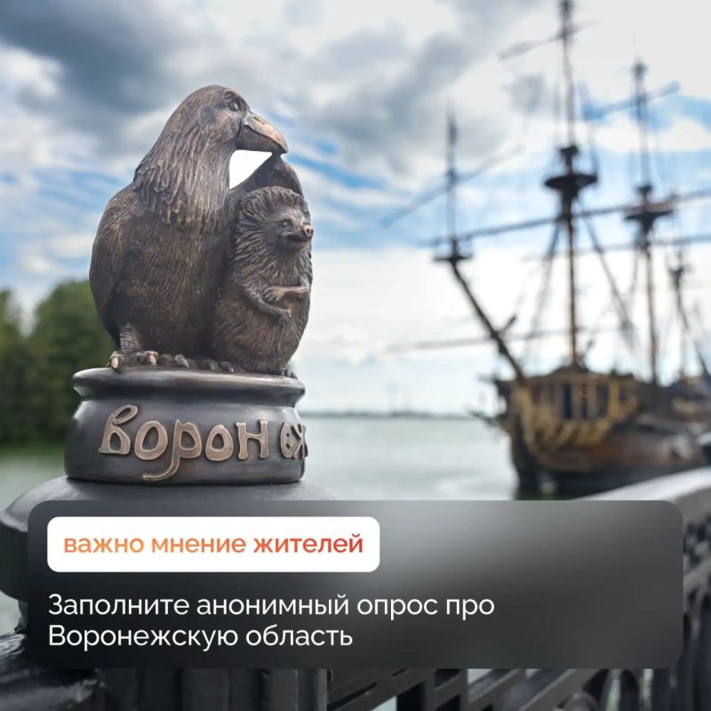 Живёте в Воронежской области? Ваш взгляд на жизнь в регионе важен для нас! Пройдите короткий опрос всего за несколько минут