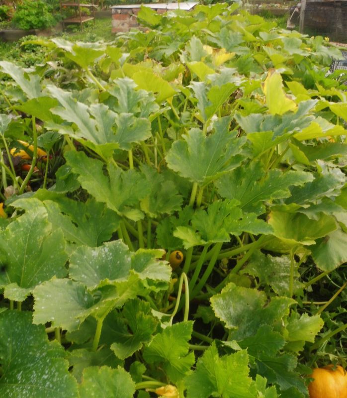 ����������� � ��������� � �������: ����� ����� ������ ������ ���������