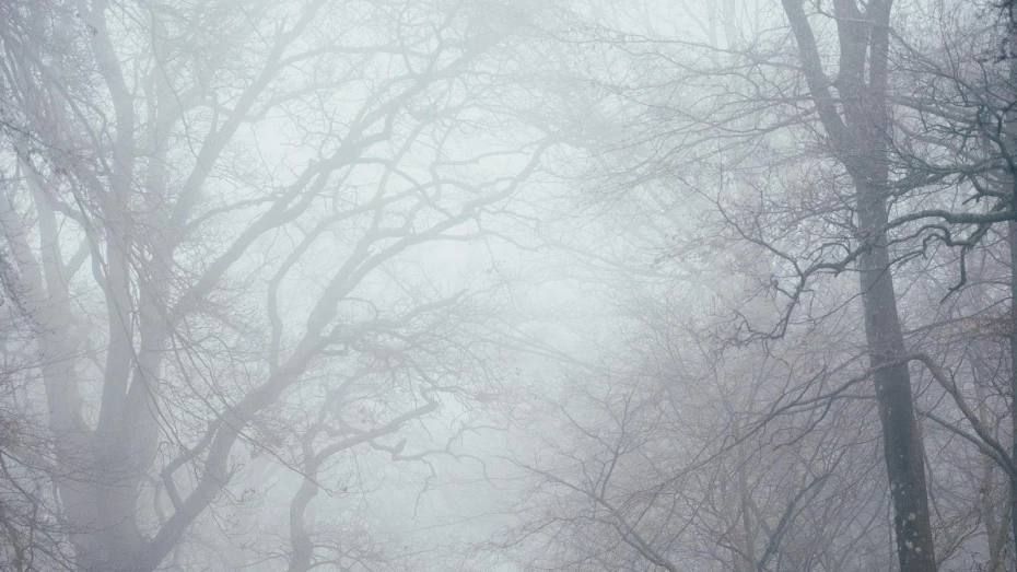 ���������� ������������ � ������ � ������� ����� 4 � 5 ������