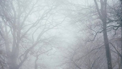 Воронежцев предупредили о тумане и сильном ветре 4 и 5 апреля