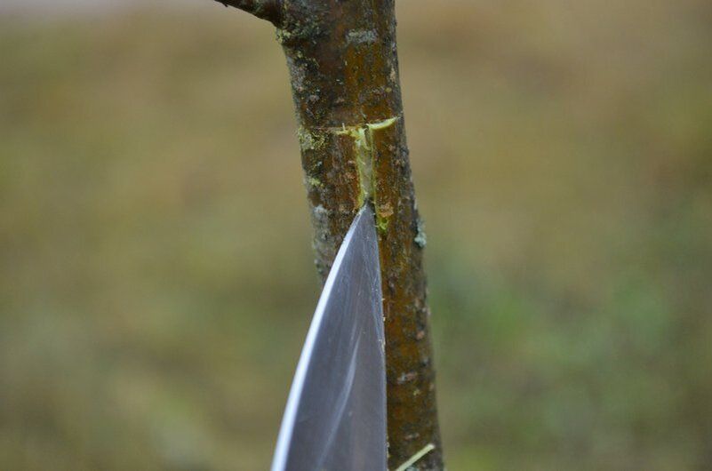 ��� ������� ��������� ������ ��� �������� ������