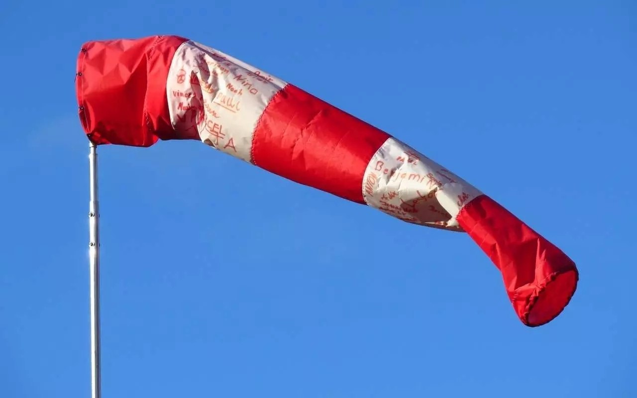 В Воронежской области установили желтый уровень погодной опасности из-за сильного ветра порывами до 15 м/с