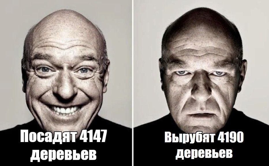 Круговорот деревьев в воронежской природе