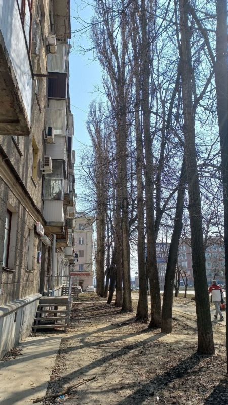 ������ 2025�. ��-�� ����� ���� �� ����� ������� ���� �� ����� ������� �� ������ 20-����� ������� �.38