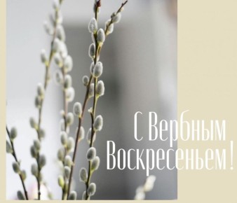 Дорогие жители нашего округа!