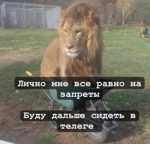 Уже 15 апреля в России ожидается масштабная волна блокировок VPN-сервисов