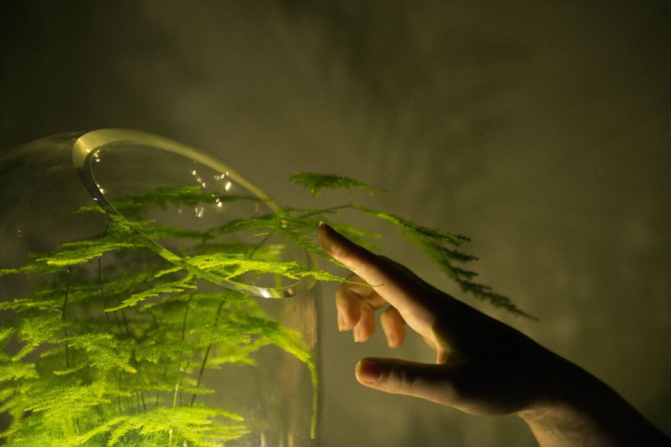 ������ ��������� ����� �������, � ������ ����������: ����� �������� � �� ����������