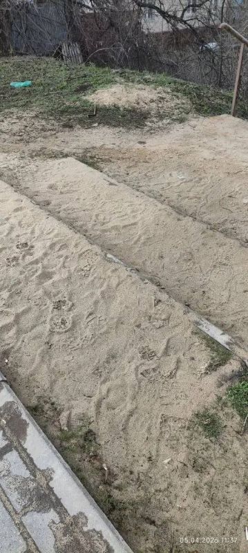 Не чистят вообще, спуск на улицу Песчаная