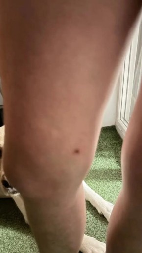 � ������� ����������������� ����������� ���������� � ��������