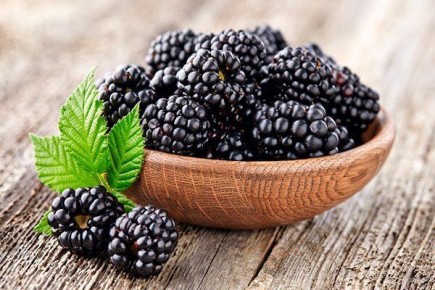 Непознанная прелесть ежевики: удивительные сорта и секреты ухода