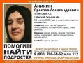 Волонтеры просят воронежцев помочь в поисках 16-летнего Ярослава Аникина, пропавшего четыре дня назад в Тульской области