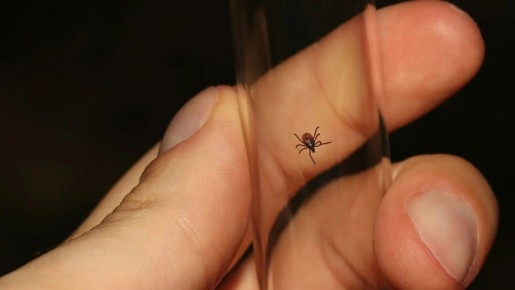 �� ������ ������ ���������� 10 ������� ����������� �������