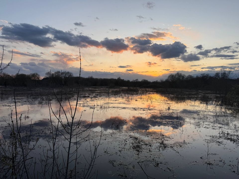 � ������� ������� �� ��������� �����