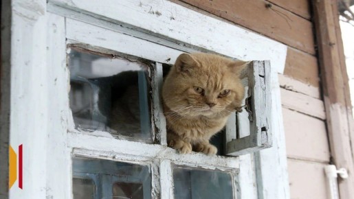 ����������� ��������� ������ �� ������ ����, ��������� �� ����