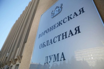 Выплаты для детей с редким заболеванием предложили ввести депутаты Воронежской областной Думы