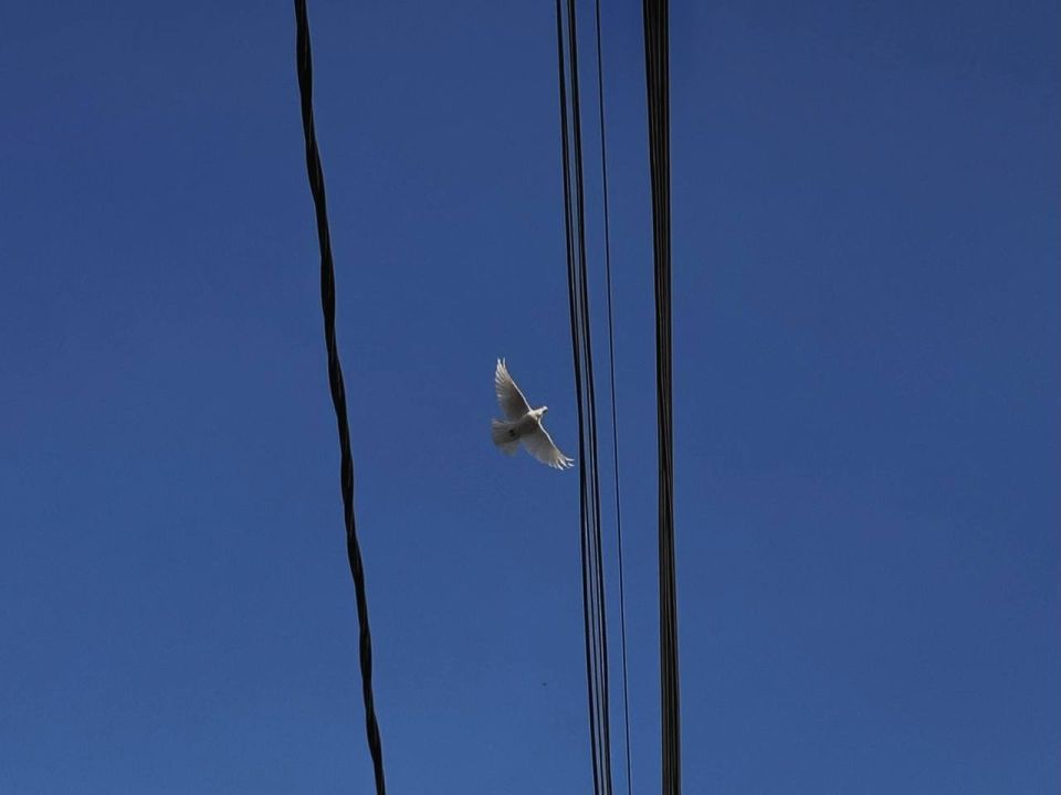 ������ 7 ������:. ����������� �������: ���� +9, � ������� +7. ���-�������� ����� ���� ����������� �� 5 �/�, � ������ ������� �� 3 �/�