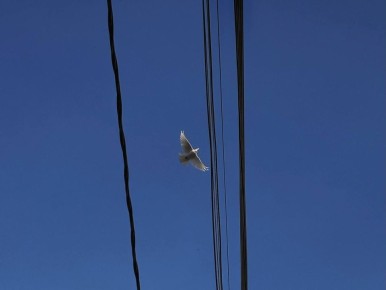 ������ 7 ������:. ����������� �������: ���� +9, � ������� +7. ���-�������� ����� ���� ����������� �� 5 �/�, � ������ ������� �� 3 �/�