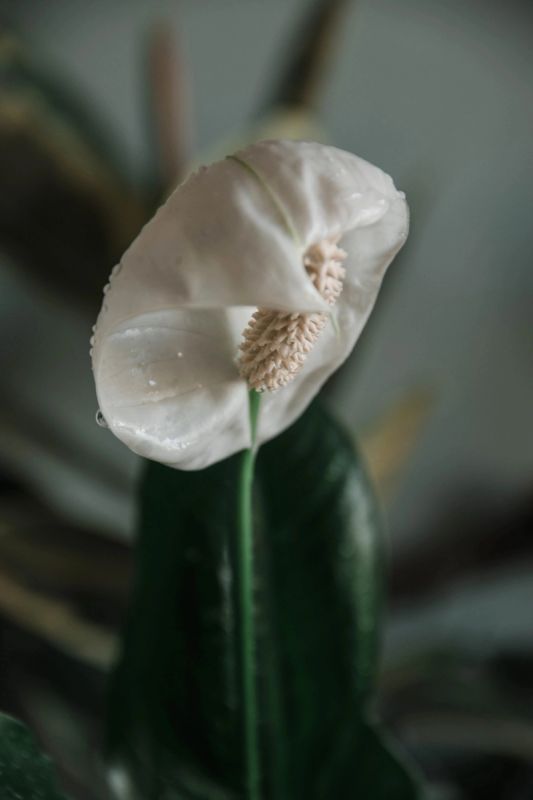 �����������: �������� ������� � ������ � ����� ����