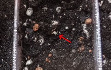 ������ �� ����� ����������� ��������� ������ � �������� �����: ���� � ����������