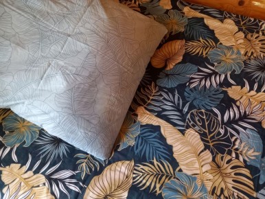 ������ ����� ���������� � �������� ����������� �����: ������ �� ������ ������ ������