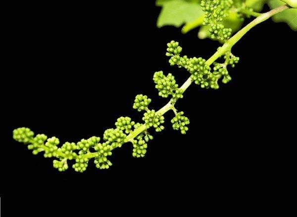 ��� �������� �������� �� ���������� � ��������: ������ ������ � ���������