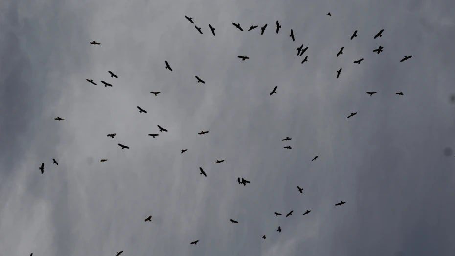 ������ ������� ��������� � ����������� ������� ������, ��� ������