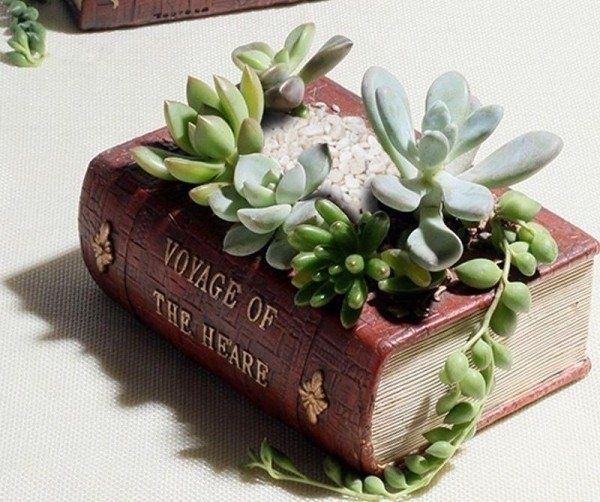 Креативные вазоны для ваших цветов: необычные идеи и советы