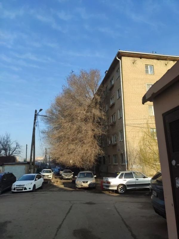 � �������� ����� ������� �� �������� ������