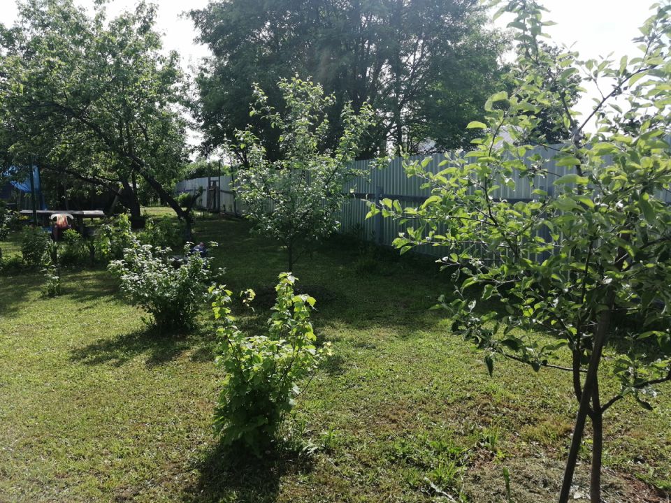 ������ ������ � ����� ��� ����������� ��������: ������� ��������� �����������