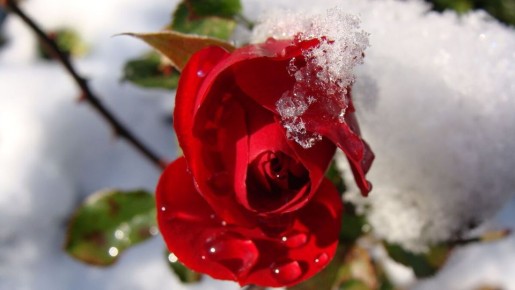 �������� ����� ��� ���: ����� ������� ������� � ��� ��������� �� �������