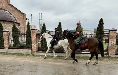 ������������ �� ����� ������: � �������� �������� ���������� ������ �������������� ������� � �������� �������