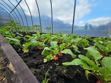 Автополив: как избавиться от садовых забот и сэкономить время